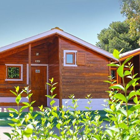 Bungalows Camping El Cid Peñíscola 외부 사진